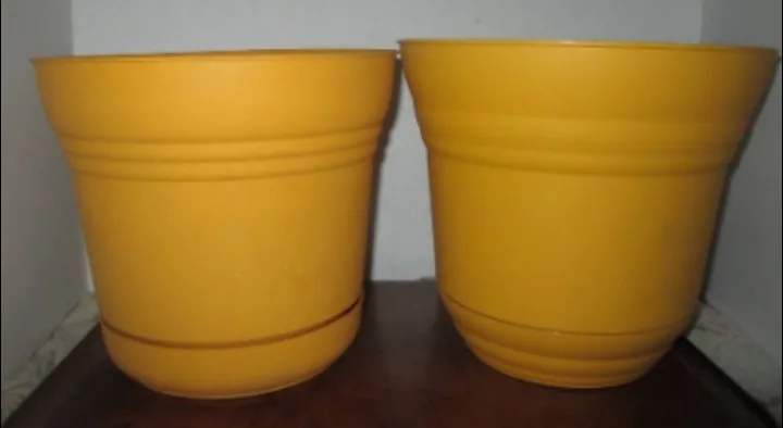 TWO Yellow Plastic Plant Pots with Saucer image indicator(2)