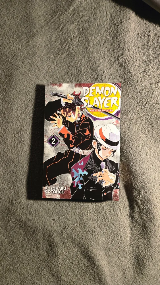 Demon Slayer: Kimetsu no Yaiba, Vol. 2 Manga thumbnail