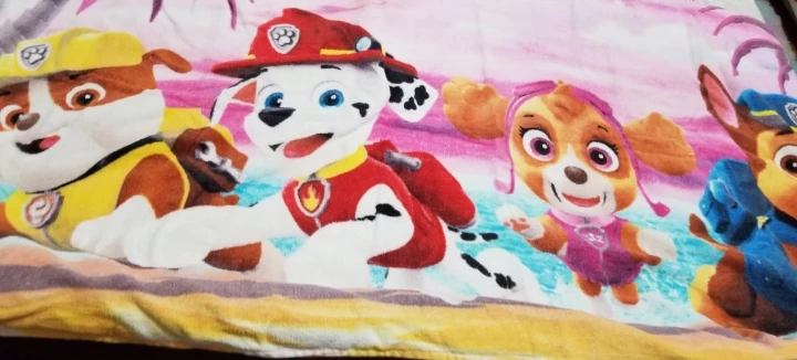 Paw Patrol Beach Towel 🧡