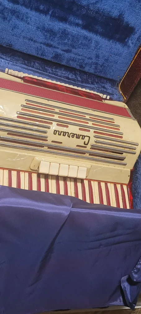 Camerano Accordion with Case image indicator(2)