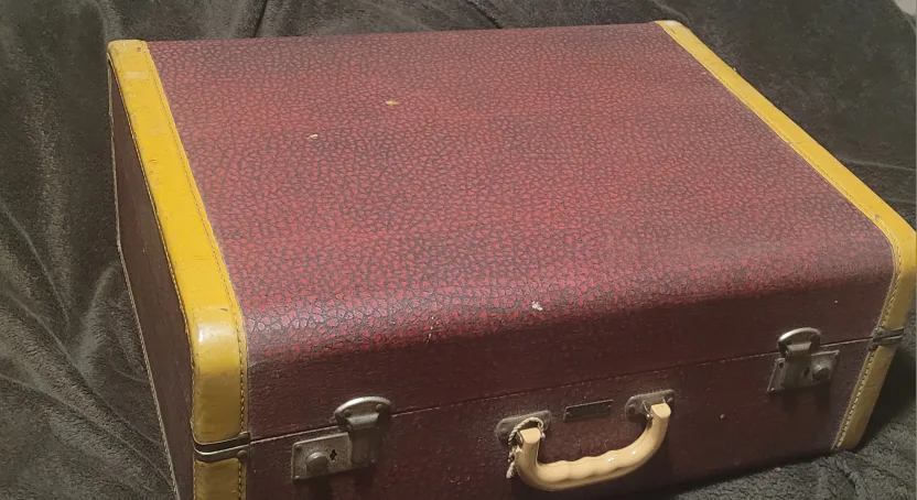 Camerano Accordion with Case image indicator(3)