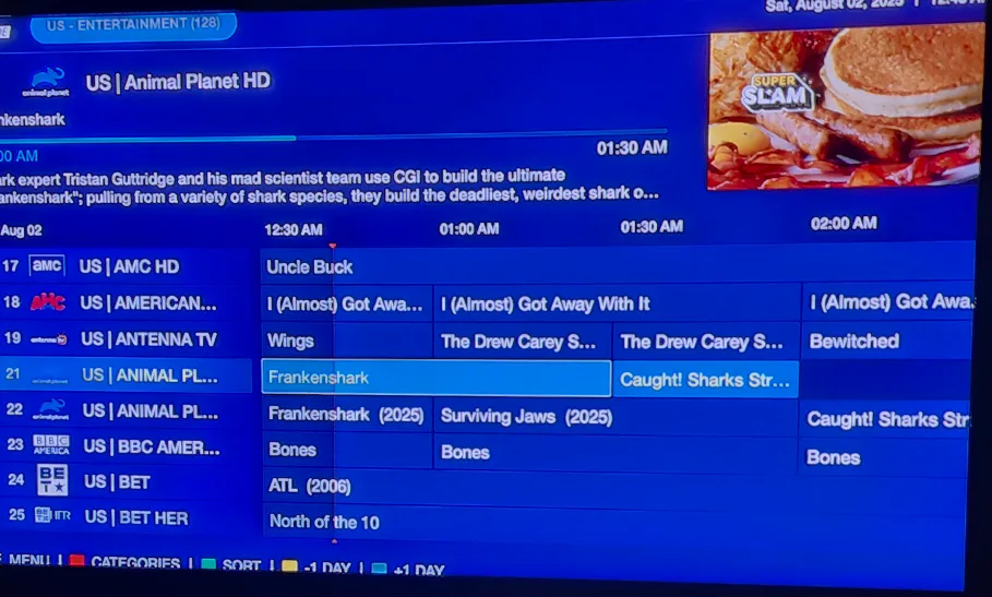 IPTV PROGRAMMING image indicator(3)