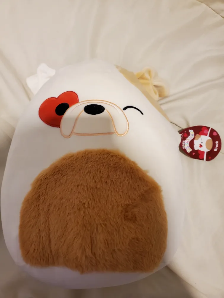 Cute "Brock" dog squishmallow image indicator(2)