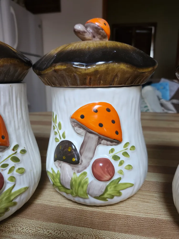 Vintage Merry Mushroom Canister Set from Sears and Roebuck 1970s image indicator(2)