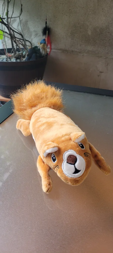 Dancing Squeeking Squirrel Cat Toy thumbnail