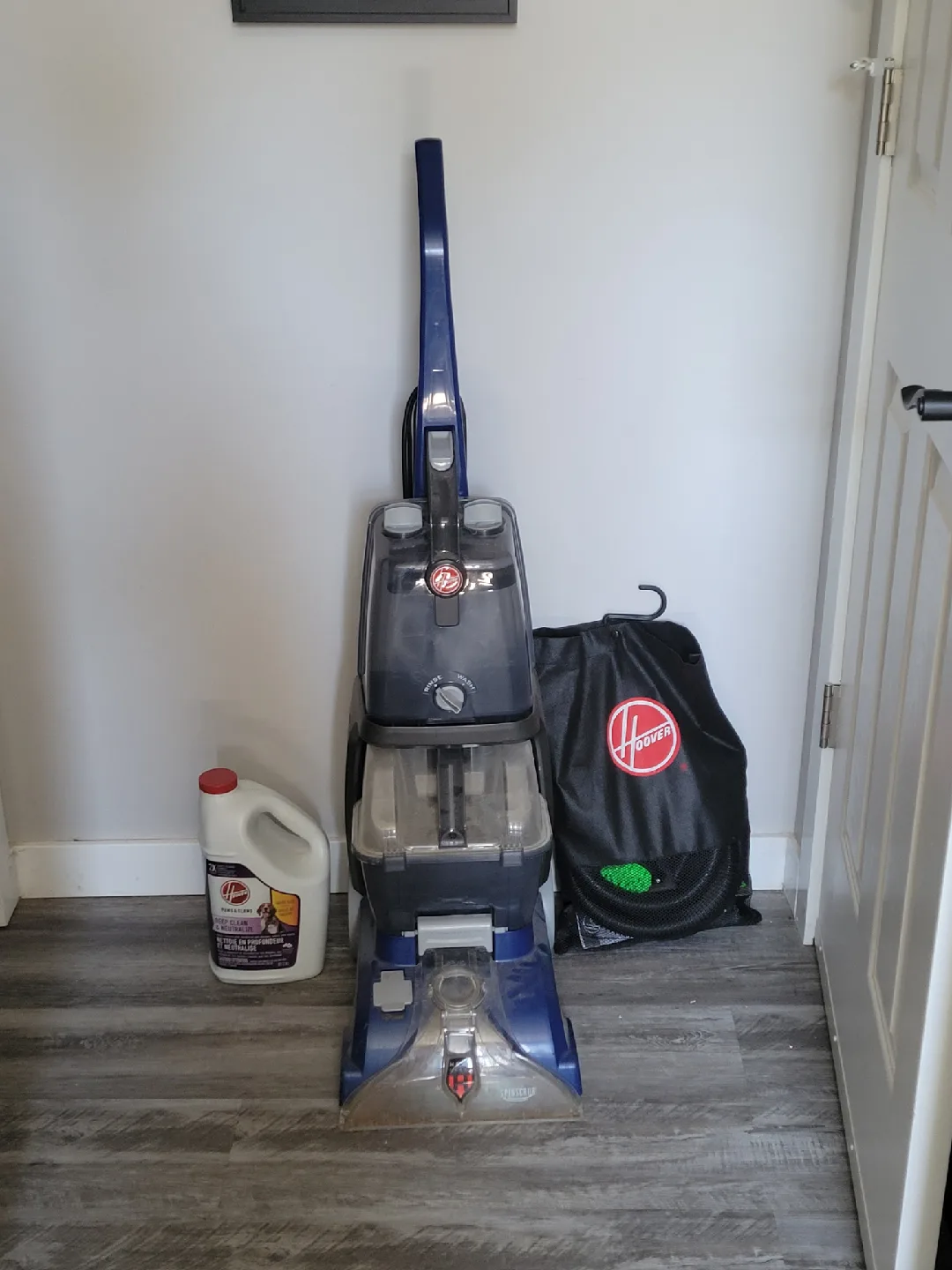 Carpet Cleaner (Read Description) thumbnail