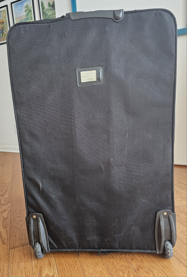 💖 Rolling Suitcase - Black & Orange - photo 4