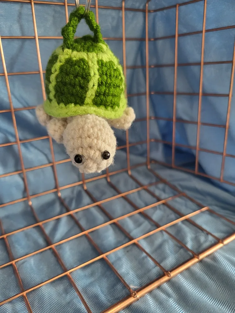 Turtle image indicator(2)