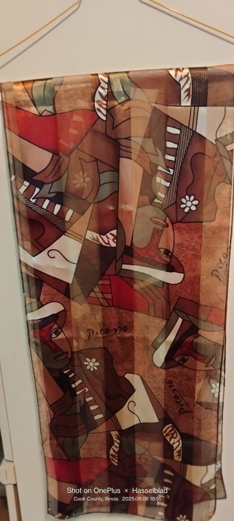 Picasso Scarf