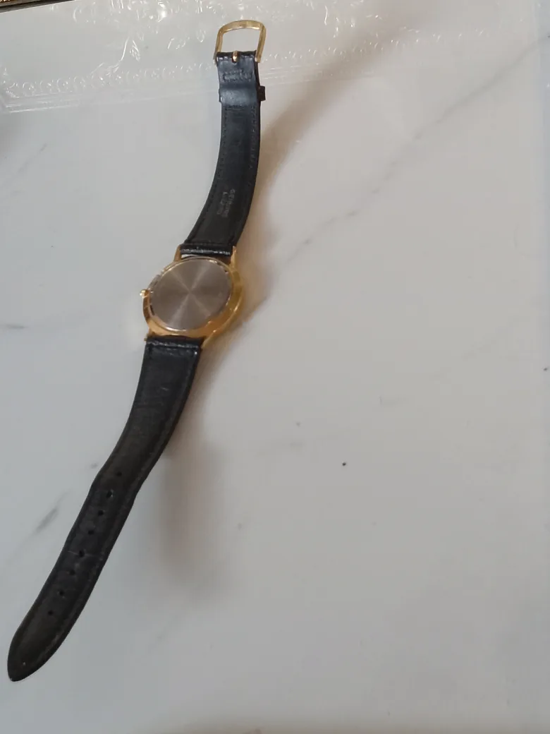 Accutron Quartz Gold & Black Watch image indicator(8)