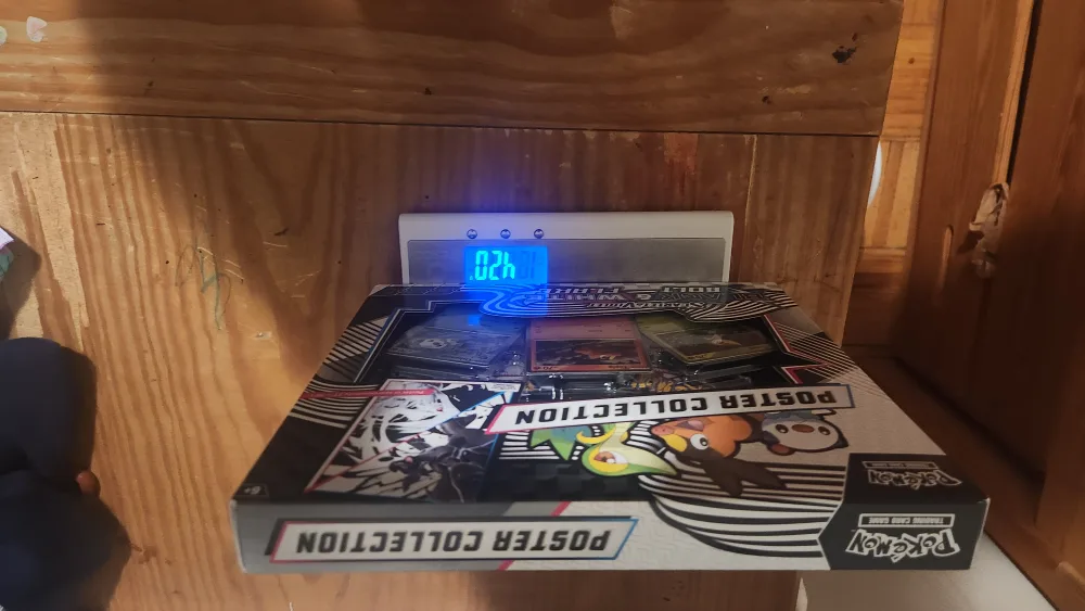 Pokémon Scarlet & Violet Black & White Bolt Flare image indicator(2)