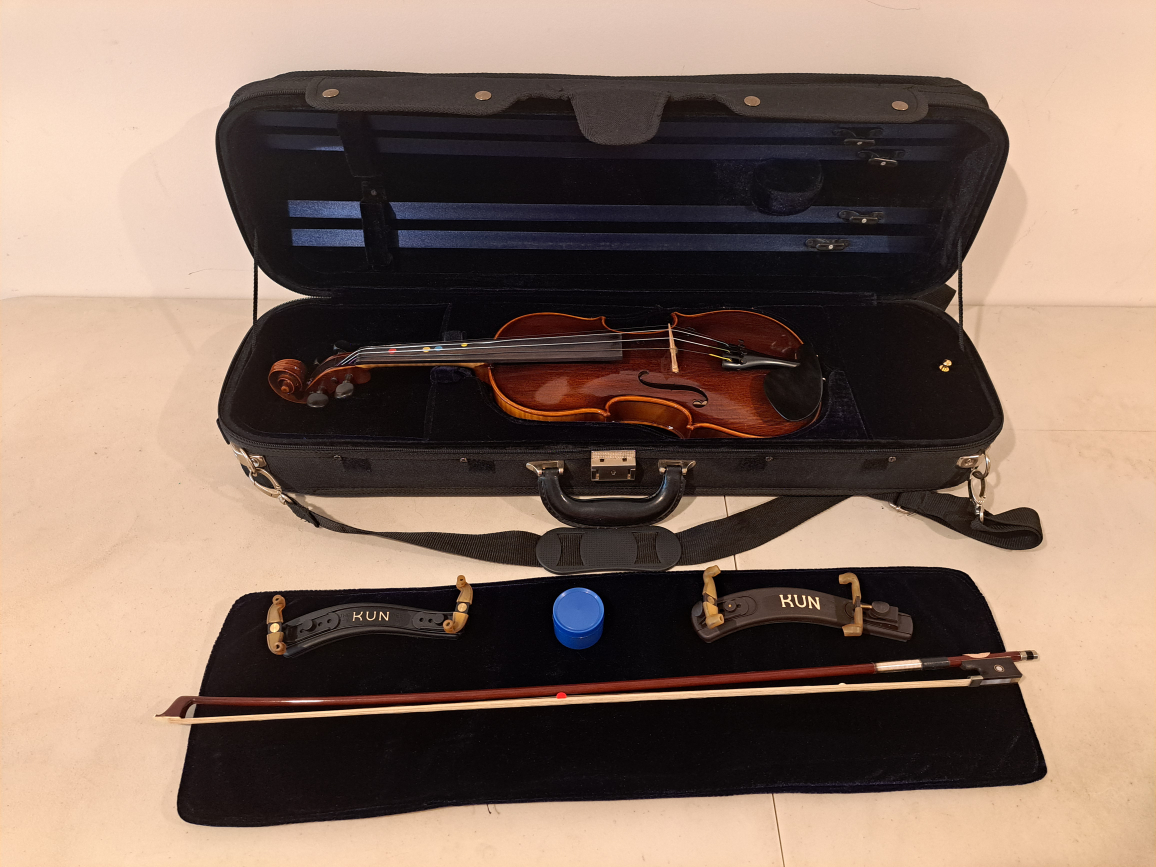 Alegra violin