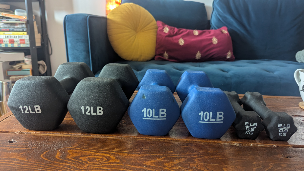 Dumbbell Set: 2lb, 10lb, 12lb Weights