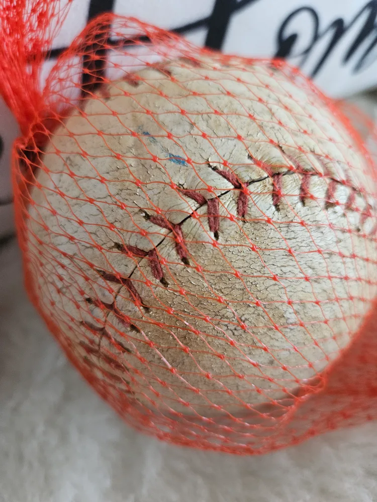 Pro-Curve Baseball image indicator(3)