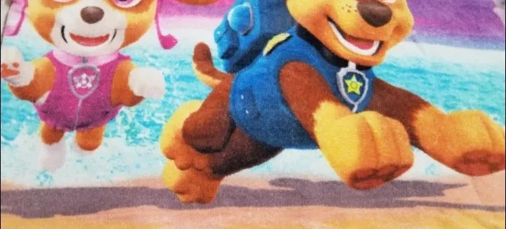 Paw Patrol Beach Towel 🧡 image indicator(3)