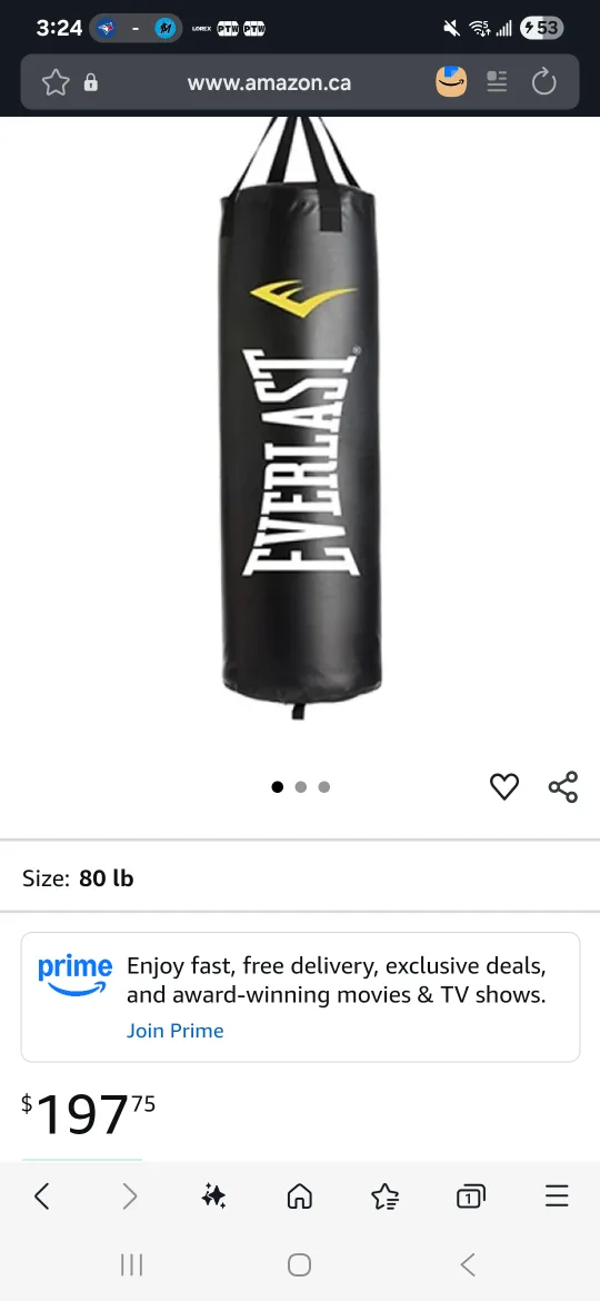 Everlast Punching Bag. (Brand New!!) image indicator(4)