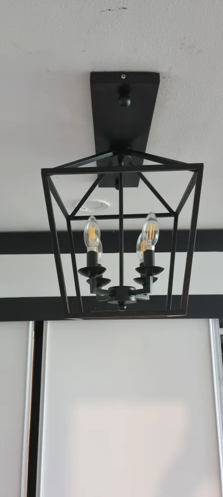 Black Metal Cage Ceiling Light Fixture image indicator(3)