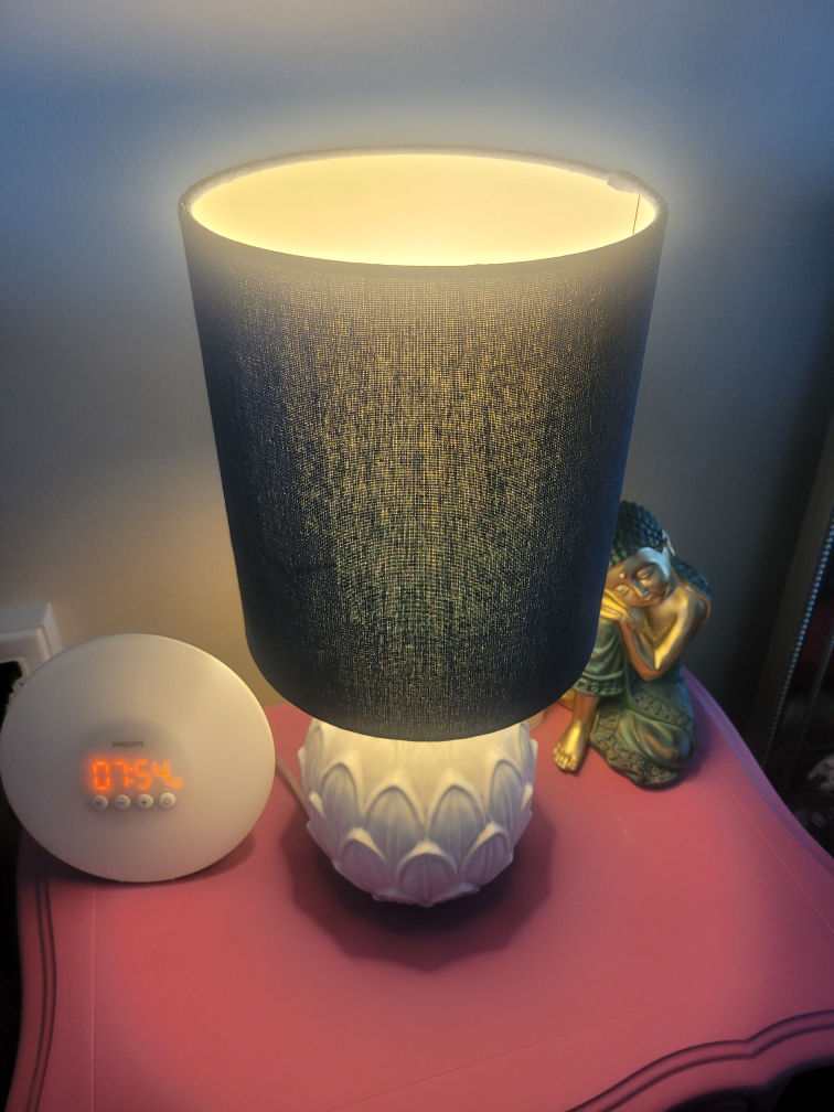 light - photo 2