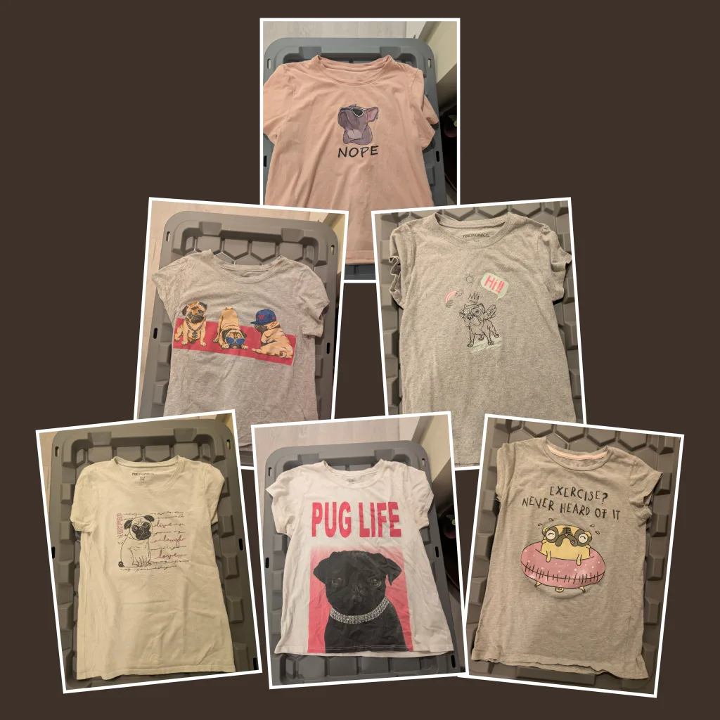 Pug Graphic Girl T-Shirt Bundle thumbnail