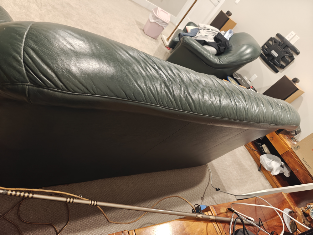 Green Leather Sofa - photo 4