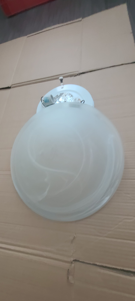 Ceiling Light Fixture - photo 2
