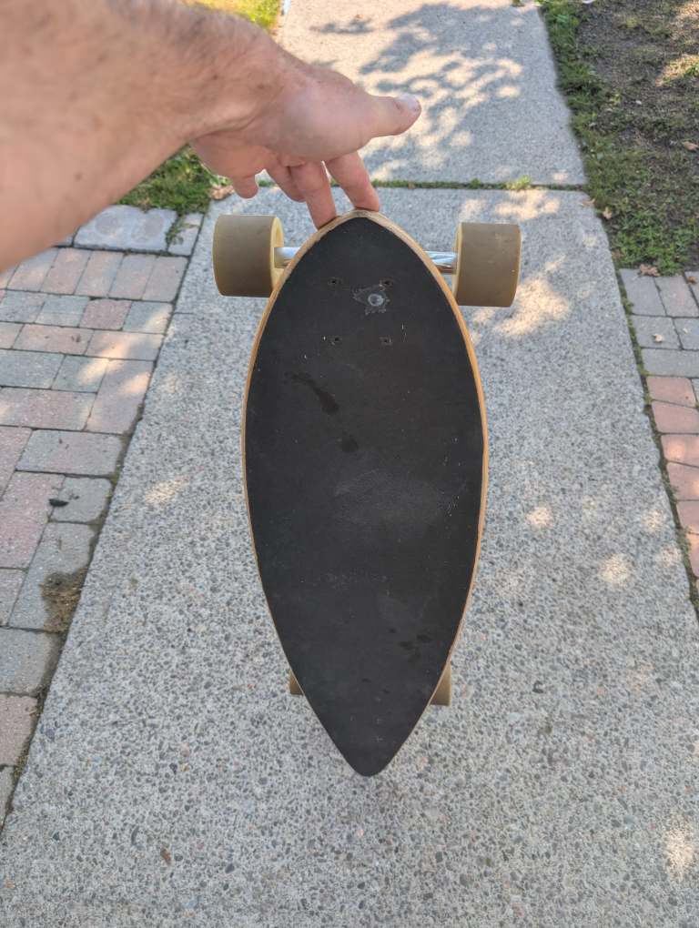 Sims Longboard Skateboard - photo 2