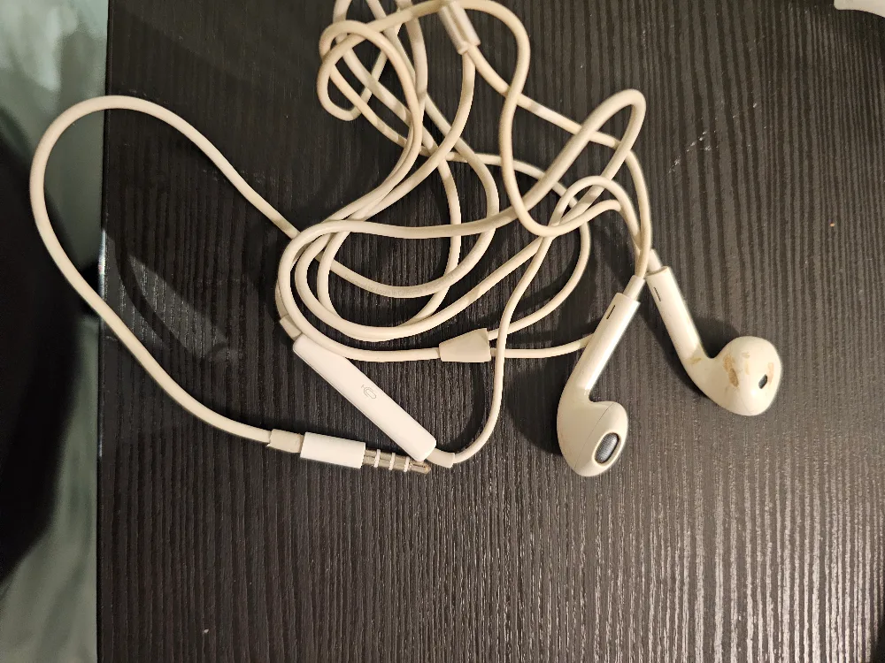 Apple EarPods - Wired image indicator(3)