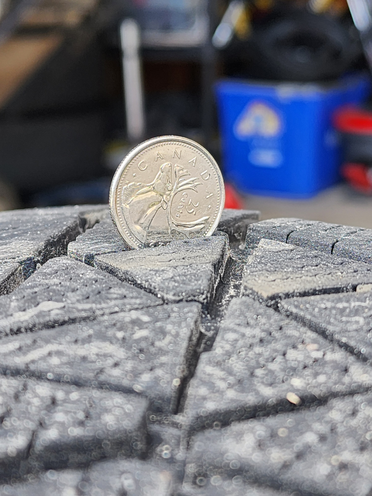 Bridgestone Blizzak DM-V2 225/65R17 Winter Tires - photo 4