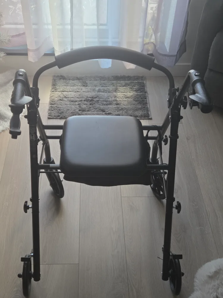 Black seated walker thumbnail