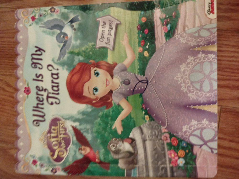 Interactive Sofia the First  Book - photo 4
