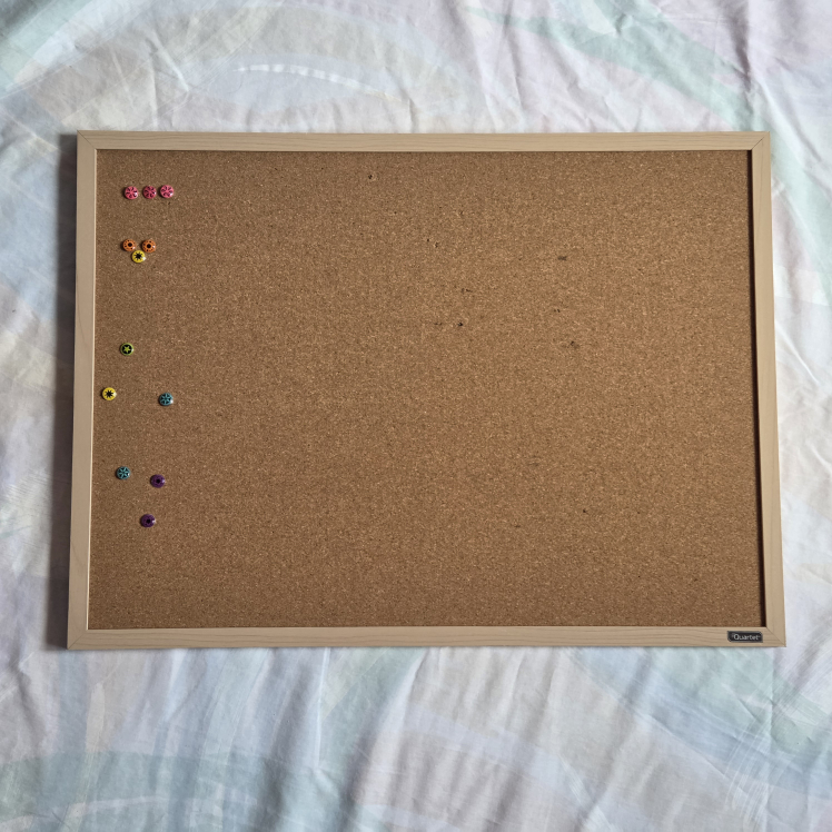 Wooden Frame Cork Board with Pins