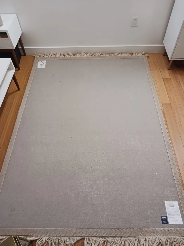 Area Rug w/ Fringe – Beige w/ Gray Stripes (Needs Cleaning) image indicator(6)