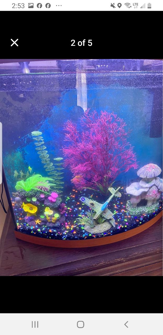 18 Gallons Aquarium - photo 4
