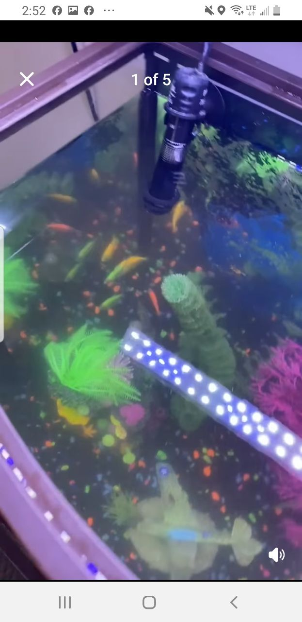 18 Gallons Aquarium - photo 5
