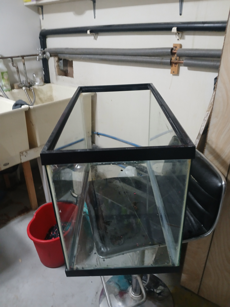 Used Fish Tank with Accessories - photo 2