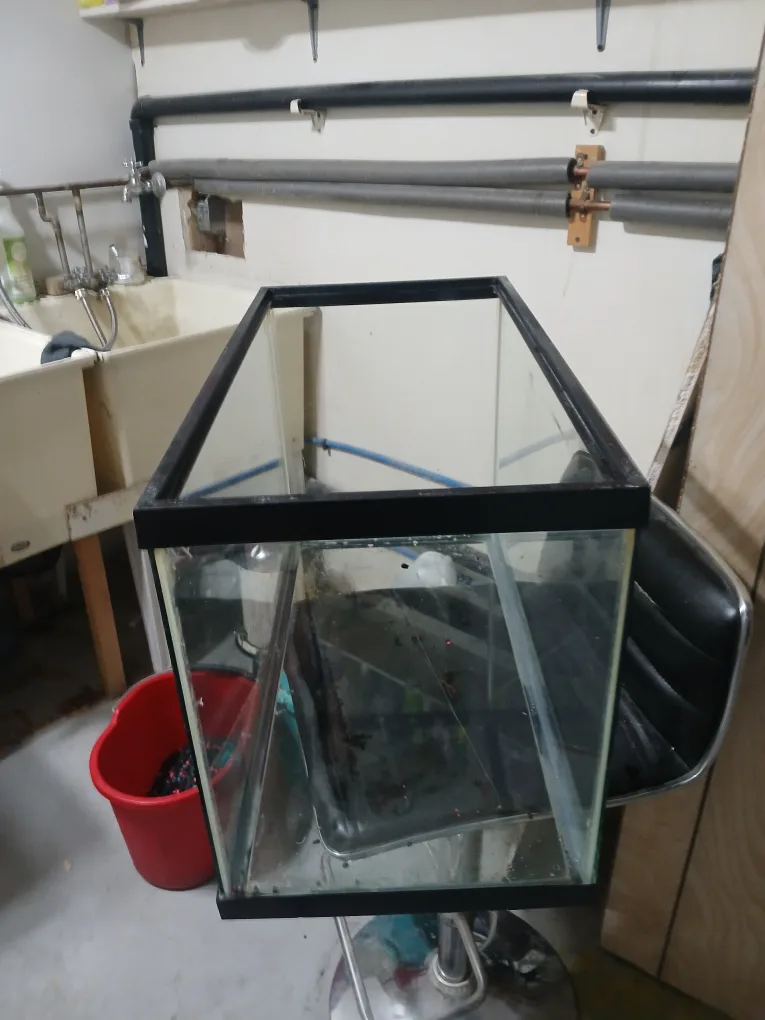 Used Fish Tank with Accessories image indicator(2)