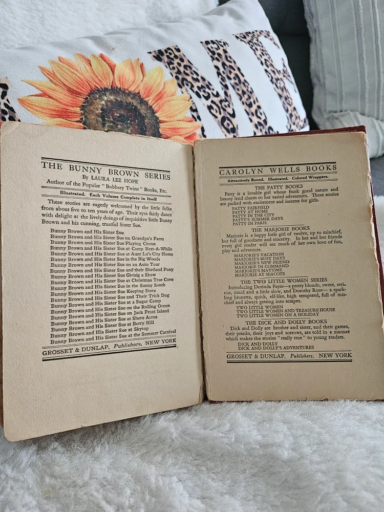 Honey Bunch: Her First Visit to the City by Helen Thorndyke image indicator(6)