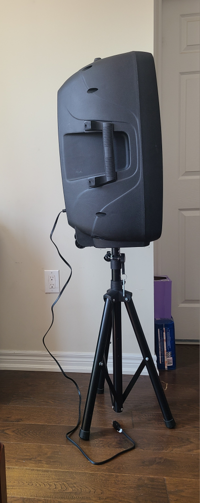 ION Audio Speaker & Sony DM-301 Microphone - photo 3