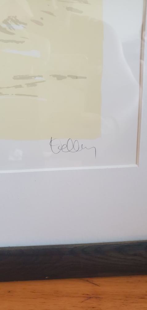 🎨 Limited Edition Framed Art Print 🧡 Signed & Numbered (44/250) - photo 3