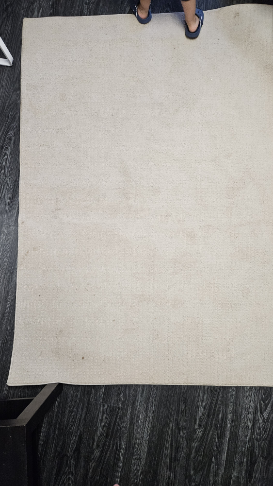 Used Area Rug size 4×6 - photo 2