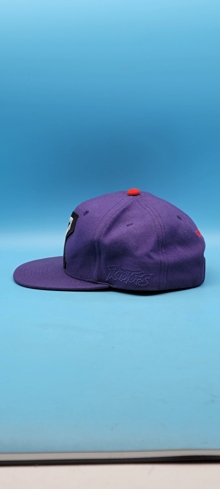 🥳VGC🤩 Mitchell & Ness Raptors Purple Hat - photo 2