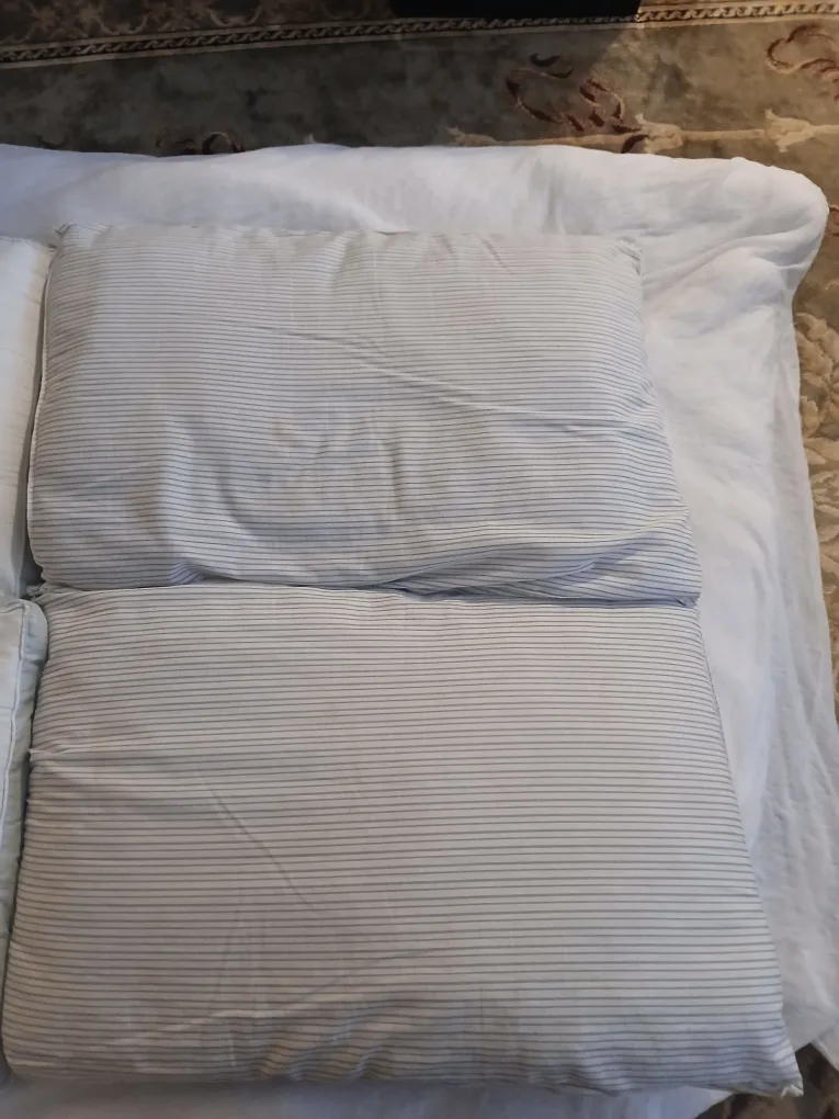 Set of 4 Queen size Pillows image indicator(2)