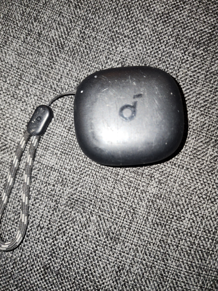 Anker Soundcore Life P3 Earbud Case *Case Only*