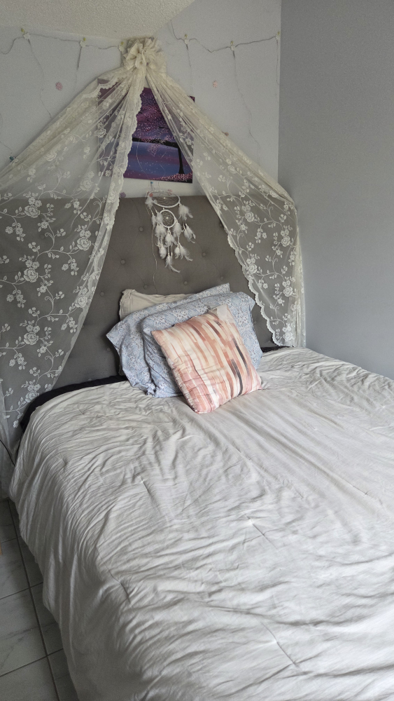 Bed frame with canopy