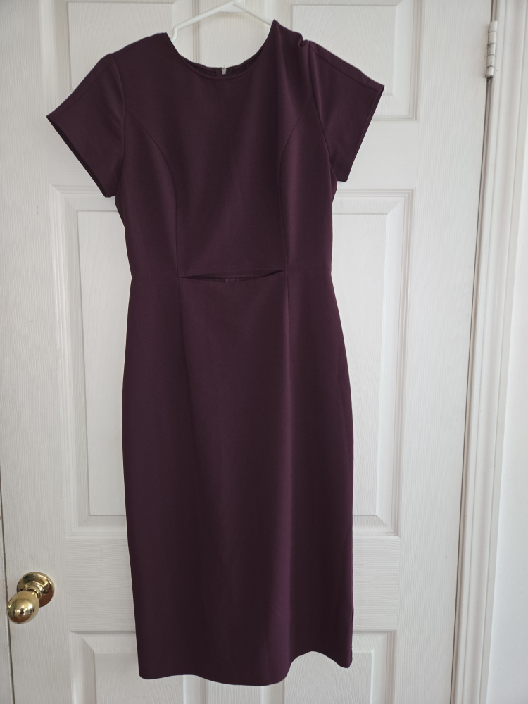Elegant Babaton Dress