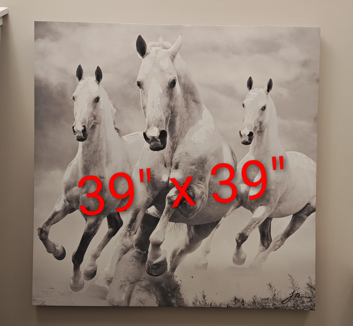 Horse Print Wall Art, 39" x 39"
