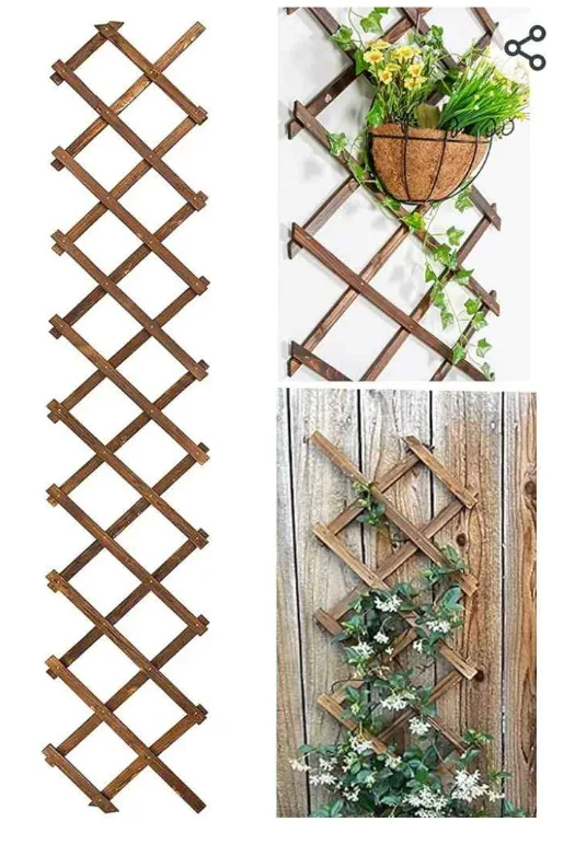 Wooden Expandable Garden Trellis thumbnail