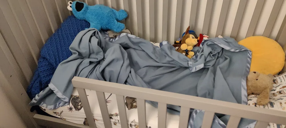 Pottery Barn Baby Crib / Toddler Bed image indicator(2)