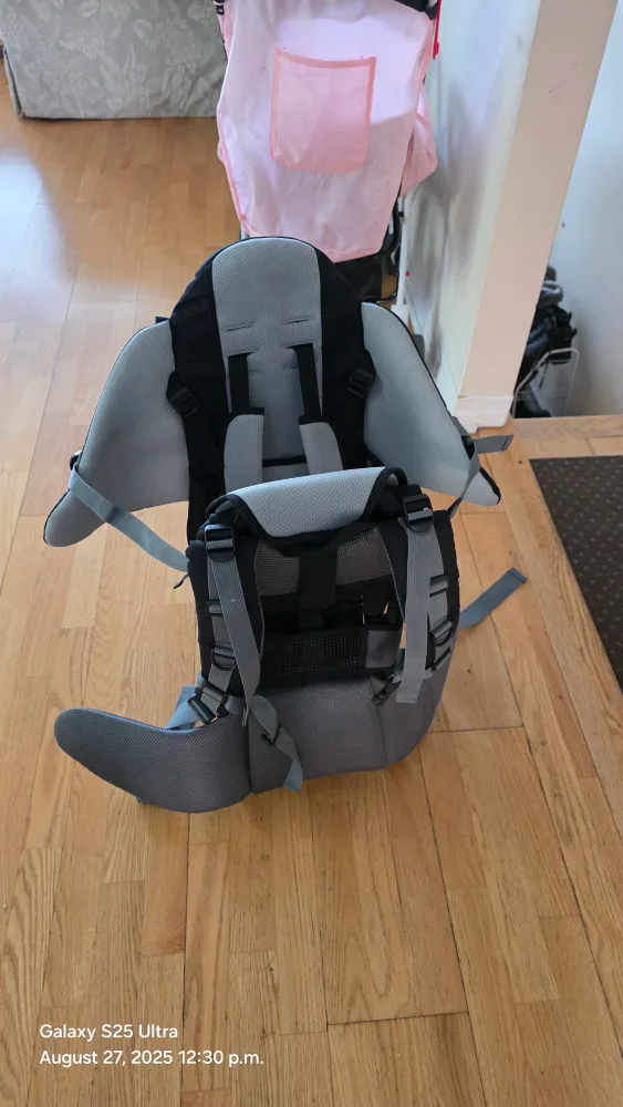 Besrey Baby Carrier Backpack thumbnail