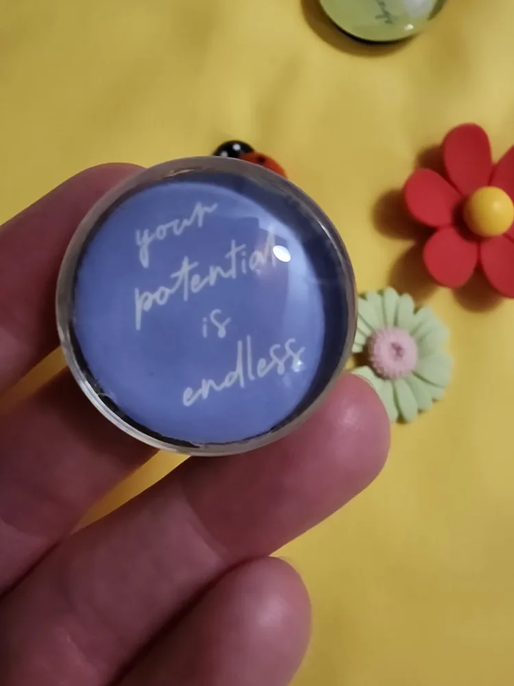 Decorative Fridge Magnets image indicator(3)